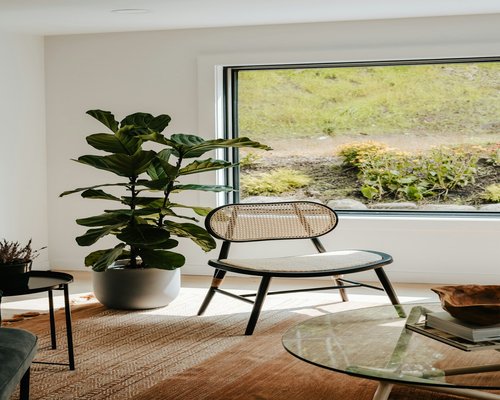 A comfortable armchair next to a window with bright daylight and a small plant